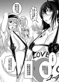 [Bitch Bokujou (Bokujou Nushi K)] GIRLS MEET DQN'S TINPO (IS <Infinite Stratos>) [Chinese] [百合勿忘草个人汉化] [Digital]