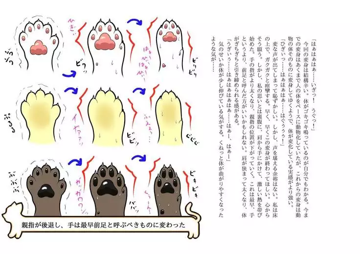 Kemo tan 1＠J-Chimera