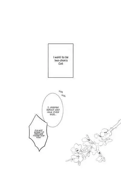(RTS!!7) [Rototika (Kamishi Yue)] Iwa-chan no Neko ni Naritai | I Want To Be Iwa-Chan’s Cat (Haikyu!!) [English]