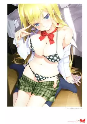 八宝備仁画集 紅蝶(ほてり)