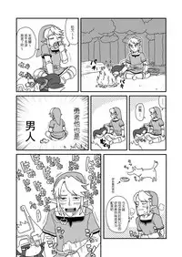 [Norihito] TwiPri Link no Seishori Densetsu (The Legend of Zelda) [Chinese] [豆沙包汉化]