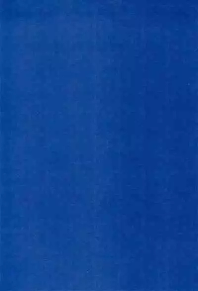 (C85) [Ameiro (Nanashiki)] Love Forever -NanoFei nano Sairoku-shuu 2- (Mahou Shoujo Lyrical Nanoha)