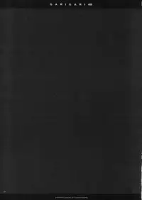 (C83) [Alemateorema (Kobayashi Youkoh)] GARIGARI 48 (To LOVE-Ru Darkness) [English]