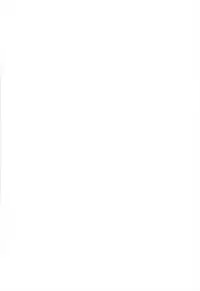 (C80) [Yousei Allergen (TEC)] Daisuki. (Touhou Project)