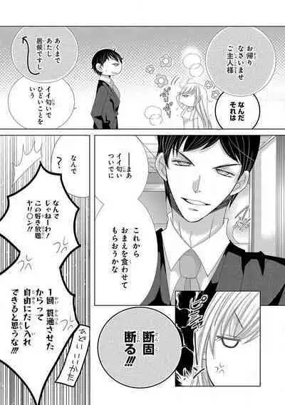 Dekiai Shachou wa MotoYan de Zetsurin ~ Kore kara Shojo o Ubawaremasu 1-11