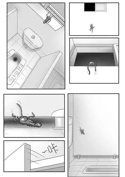 寄生虫系列之钻阴虫