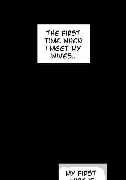 My Wives Ch.1-40