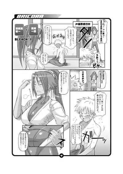 [Diogenes Club (Haikawa Hemlen)] BRICOLA (Bleach) [Digital]