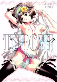 (C62) [STUDIO PAL (Hazuki Kaoru)] TUBOMI [Incomplete]
