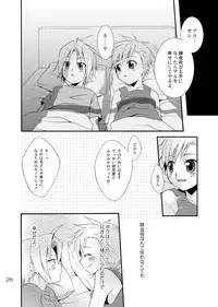 [Panda 4] Kimame ni Tsubu Iri (Fullmetal Alchemist)