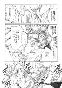 聖王妃 エルレイン(田宮秋人) Princess St