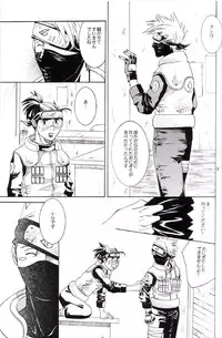 His Preferences (Kaka-Iru Fan Book; No.12)