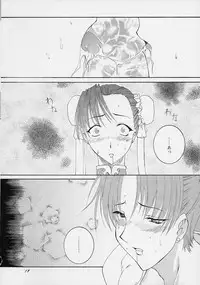 (C61) [F-A] Haru VS 2 (Street Fighter)