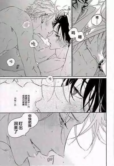 warukunaihi｜不坏的日子