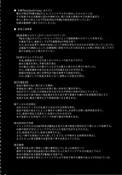 Shield Knight Elsain Vol. 15 Succubus Prison