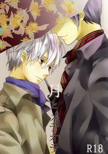 (CCOsaka100) [Ayaori (Aya, Orisuke)] Tsuki to Meteora (Tokyo Ghoul)