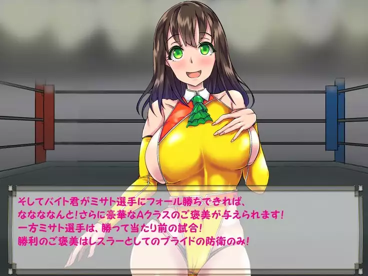 ドMプロレス2 画像集