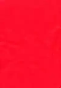 (SC65) [Suzune Rai Chikashitsu (Suzune Rai)] Loli ga Kuma no Youna Oji-san to Mainichisumou (Ingo)