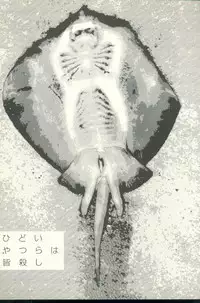 [Yamamoto Naoki] TV Bakari Miteru to Baka ni Naru