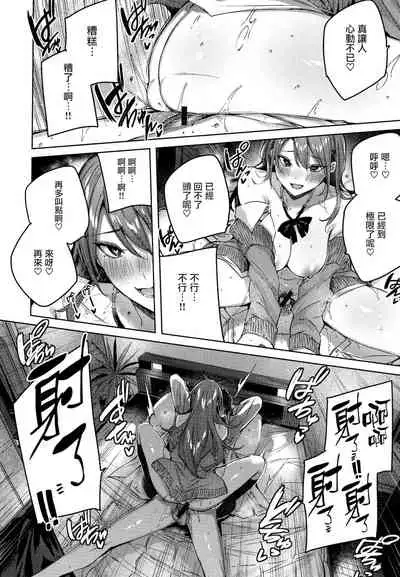 Shiko Splash + 4P Leaflet