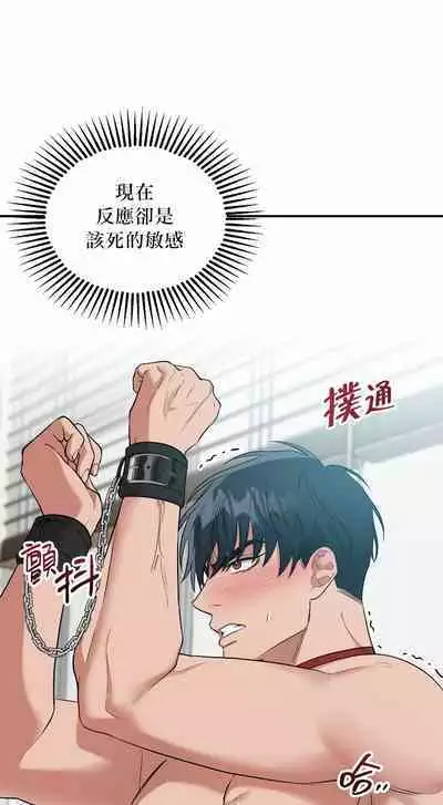 奇妙玩具来袭 01-02 Chinese