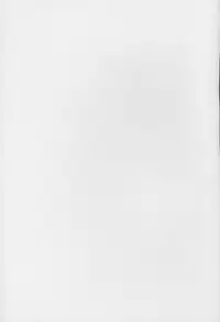 [Schwester (Shirau Inazaki)] Rollin 20 (Touhou Project)