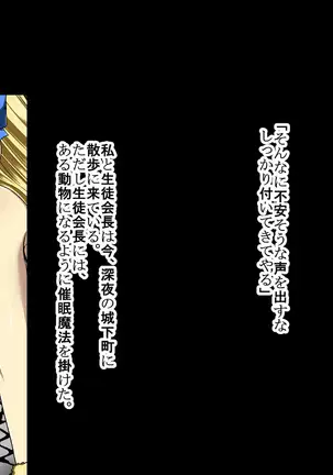 Himekishi Saimin Choukyou