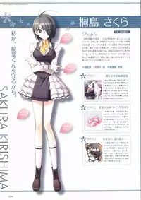 Sakura Sakura Visual Fan Book