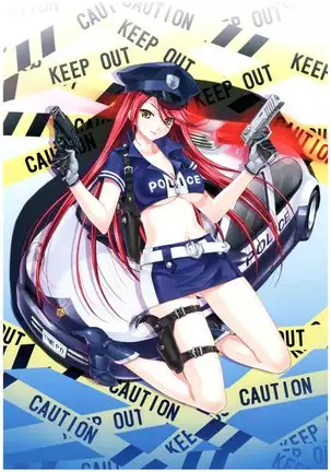 八宝備仁画集 紅蝶(ほてり)