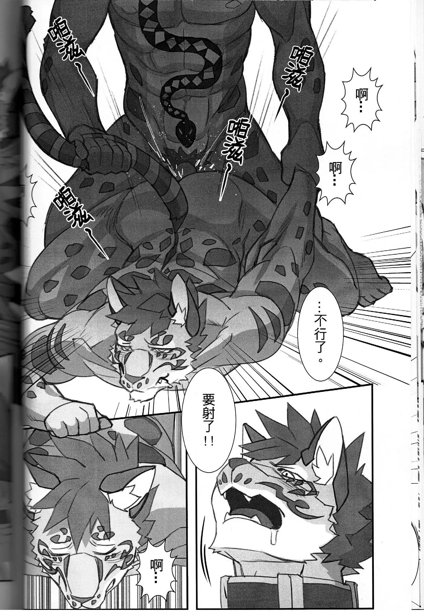 漫畫《家有大貓-Before the Story》