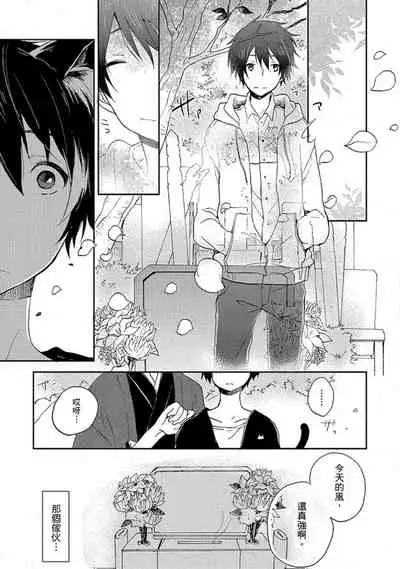 Kiss Shite Yowamushi-kun! | 吻我啊,胆小鬼!