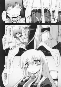 (Reitaisai 7) [IncluDe (Foolest)] Motto Shiawase ni naritai Otona no Inaba DS (Touhou Project)