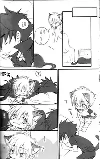 Peach Drop- Arco Iris