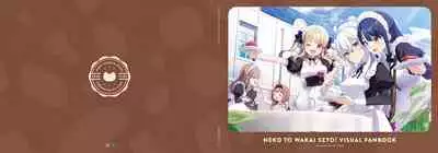 Neko to Wakai Seyo! Visual Fanbook