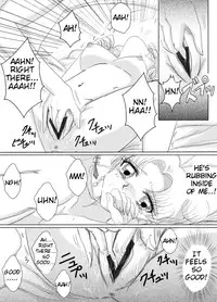 [MoE]Bittersweet Valentin[sailor moon] -English- (Tigoris Translates)