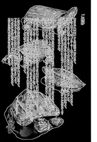 [Shinjima Saki] Nokon Chitai ~Bloomer Sakuhin senshuu~