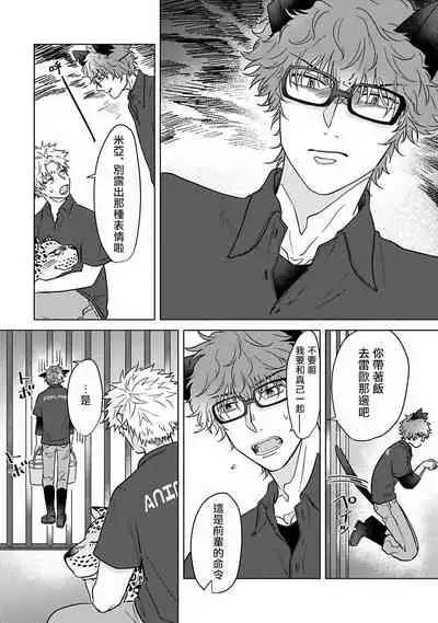 Fukurou no Koiwazurai | 猫头鹰的相思病