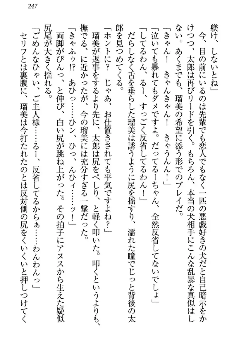 Boku to Ruu Senpai no Houkago Choukyou Nisshi - Kyou mo Watashi o Shitsukenasai!