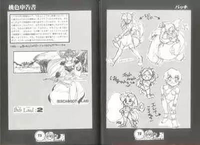 桃色申告書 ver.MILLENNIUM FALCON