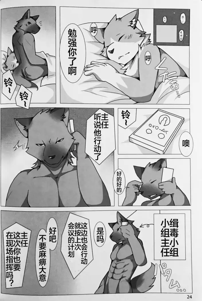 PUSH-PULL! (Chinese)