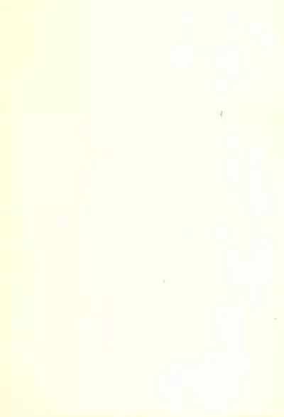 (SC28) [PalePink! (Various)] Bokuruma