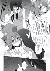 (C85) [434 Not Found (isya)] Wanko no Tadashii Shitsuke Kata 2 (Dokidoki Precure)