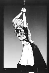 [Thirty Saver Street 2D Shooting (Maki Hideto, Sawara Kazumitsu, Yonige-ya No Kyou)] Second Uchuu Keikaku (Neon Genesis Evangelion)