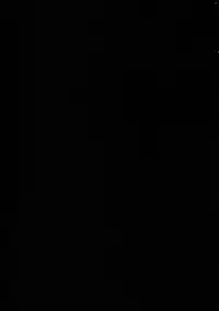 (C68) [GUY-YA (Yamada Shuutarou)] RETSU -THE SWORD OF FLAME- (Fire Emblem Rekka no Ken)