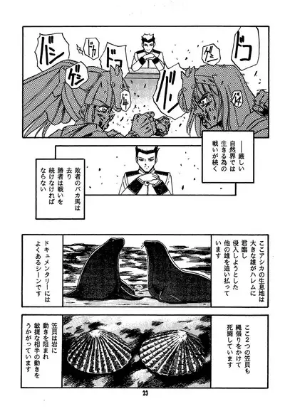 Fun House 11th SNAP SHOT