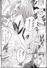 (CR36) [Shioya (Shioya Maico)] Boukyakuen (The Melody of Oblivion)