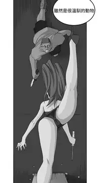 trap 圈套 ch.14-19 [chinese]