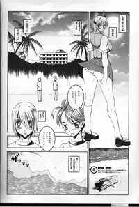 (C66) [HGH (HG Chagawa)] Pleated Gunner #01 - Venus Lagune (Dead or Alive)