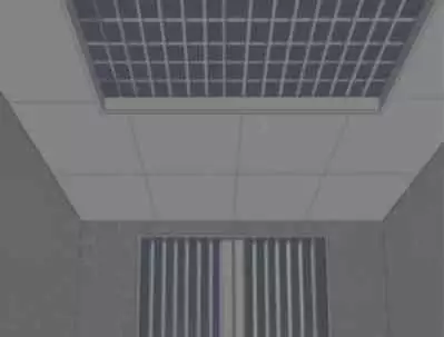 I will be a female slave from today