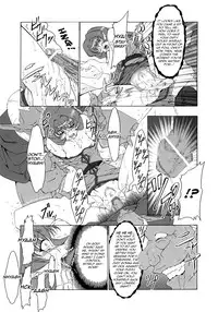 (C70) [FAKESTAR (Miharu)] N (Record of Lodoss War) [English] [FUKE]